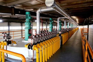 韋爾斯4.0智慧工廠震撼經(jīng)銷商，技術開發(fā)共創(chuàng)新篇章